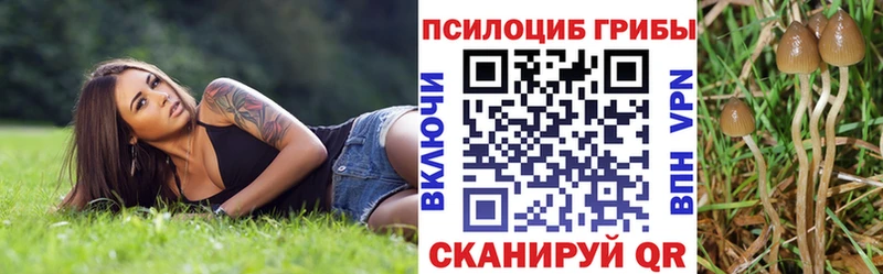 Галлюциногенные грибы мухоморы  Нытва 